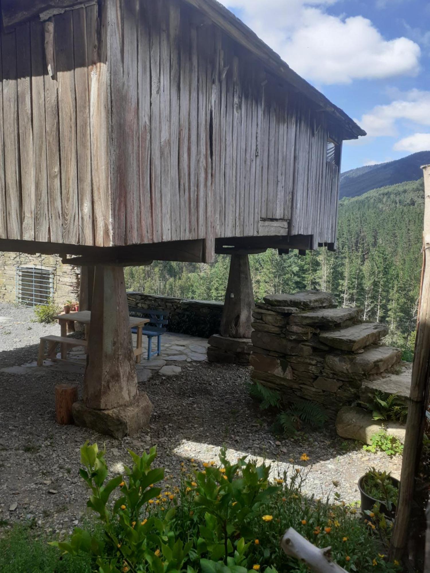 Sons Do Eo Apartamentos Turisticos Baleira 外观 照片
