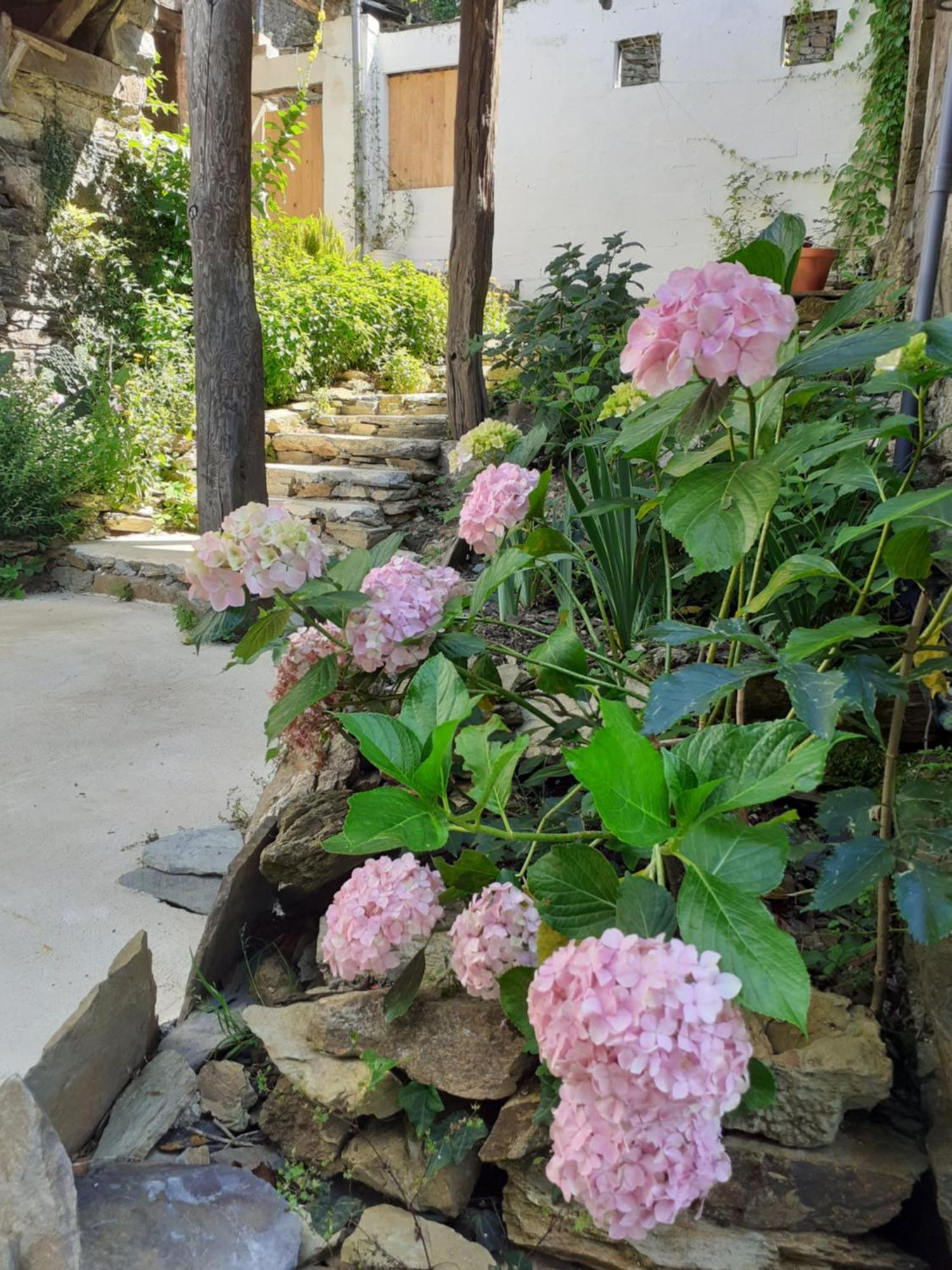 Sons Do Eo Apartamentos Turisticos Baleira 外观 照片